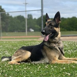 Meet your Posher, Stacey